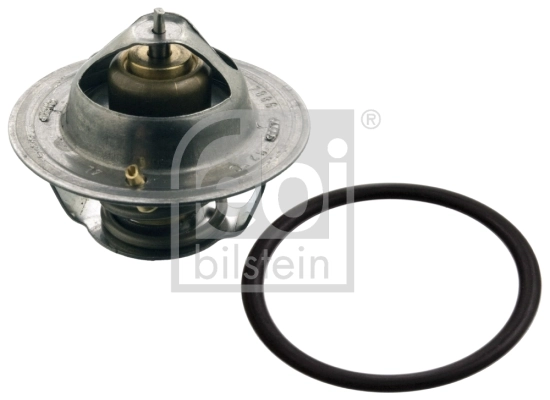 Thermostat, coolant